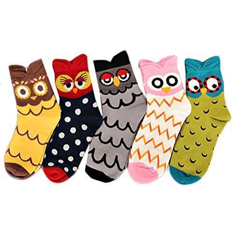owl_socks.jpg